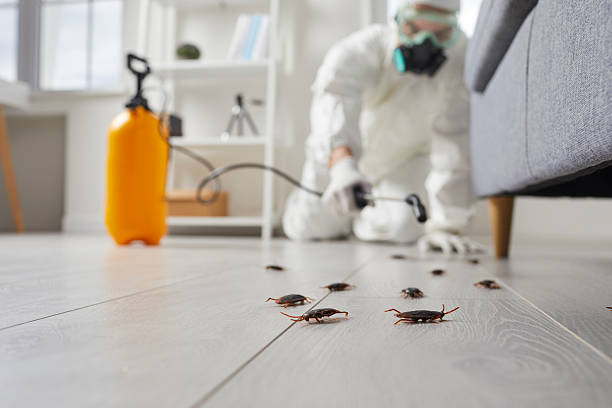 Commercial Kitchen Cockroach Control in Grover